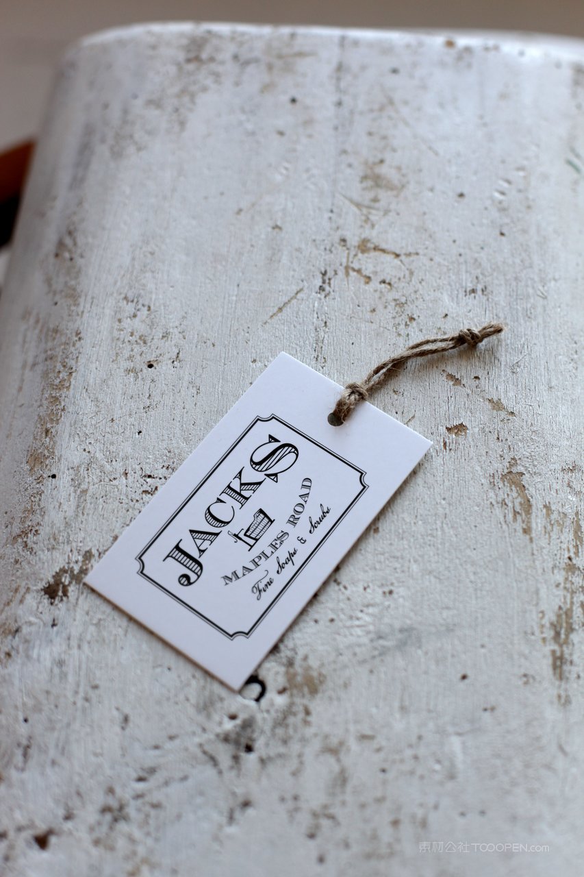 质朴简约的标签展示企业服饰吊牌样机 (5)