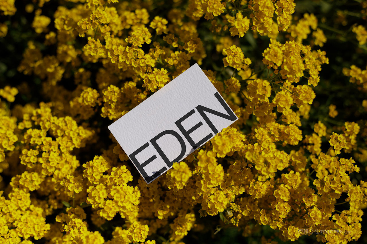 【2095期】小众vi品牌名片vip会员卡样机 (3)