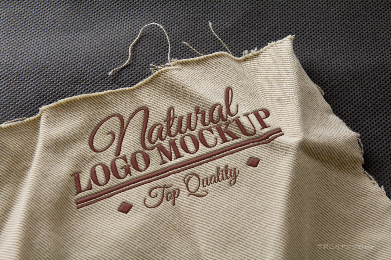 布料材质企业通用logo样机 (3)