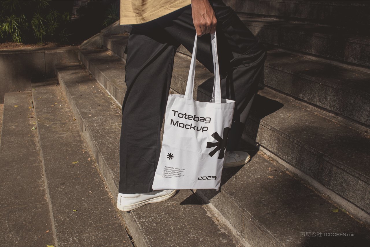 【2095期】小众vi品牌手提带样机 (3)