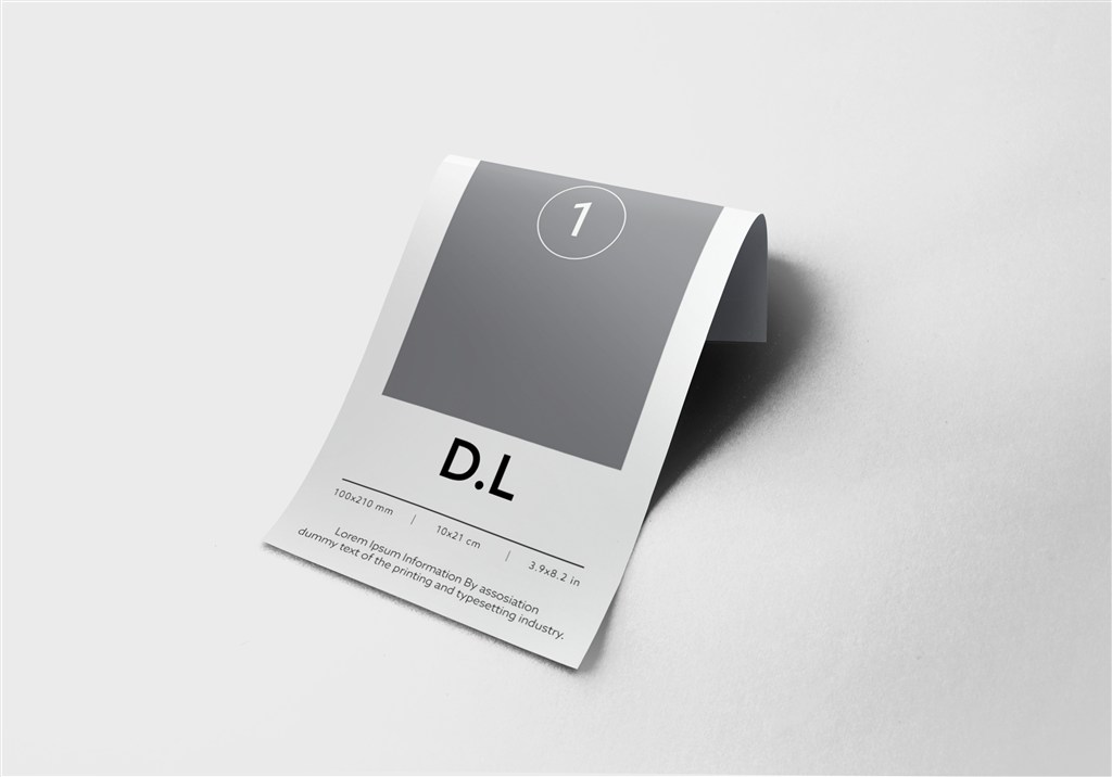 宣传单DM单页样机智能模板