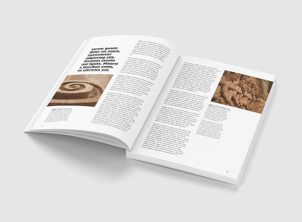 精装硬壳厚厚的书本书籍样机 (18)
