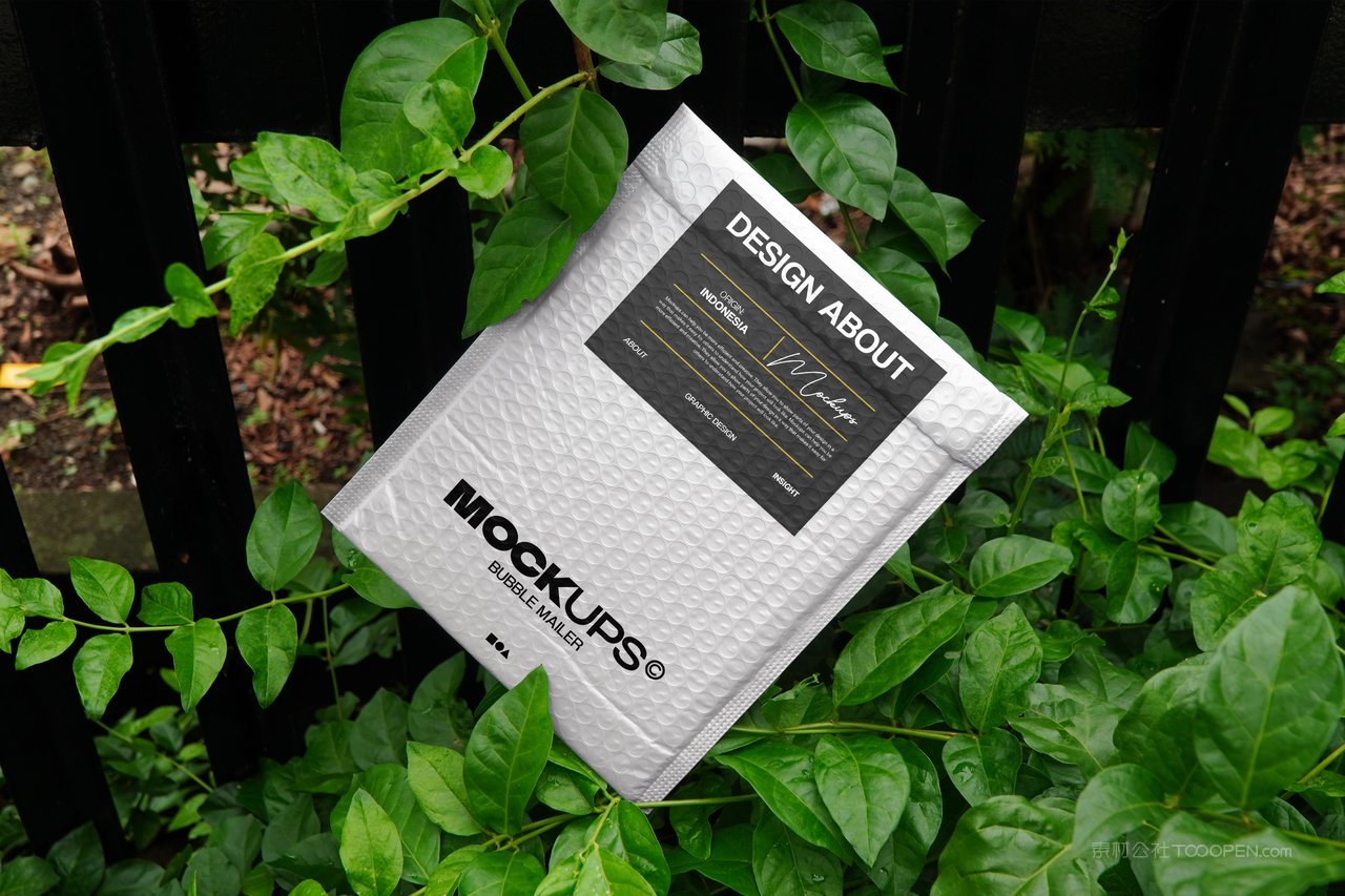 气泡包装邮件样机