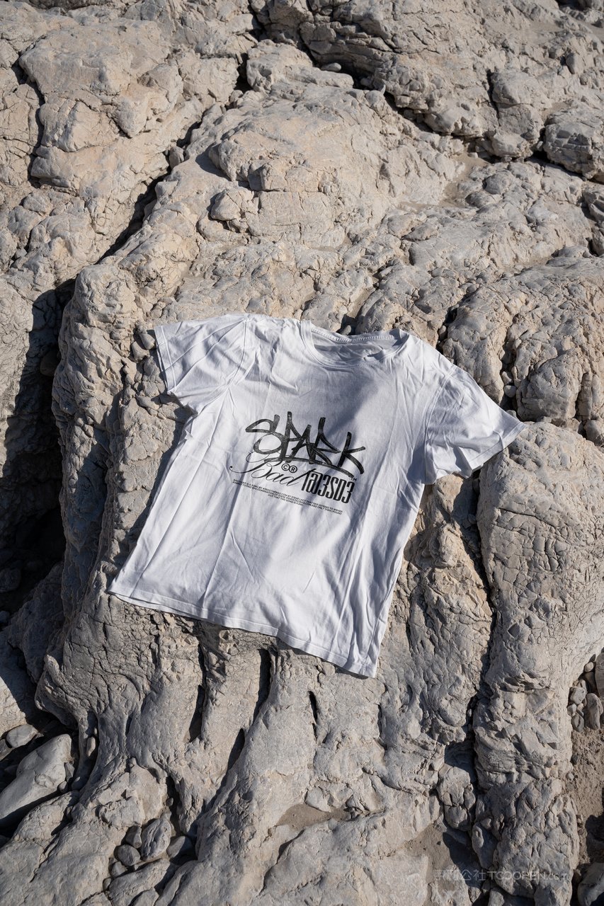 【2079期】街头服装品牌vi样机 (3)