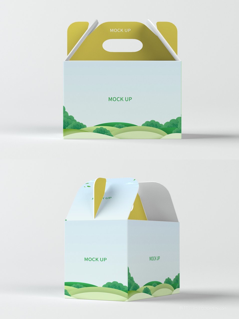 手提纸箱产品包装样机 (1)