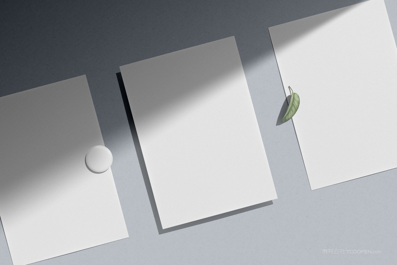 光感品牌纸质vi设计样机 (6)