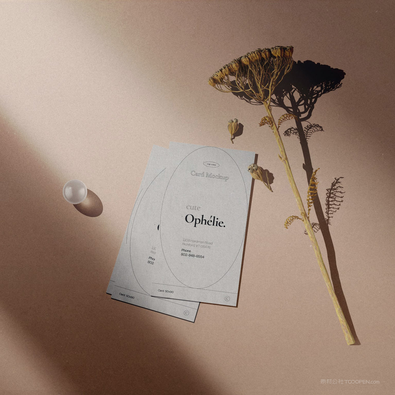 现代极简轻奢化妆品vi名片标签贴图样机