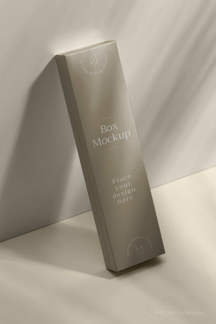 米色文艺光影精品纸盒纸箱样机 (3)