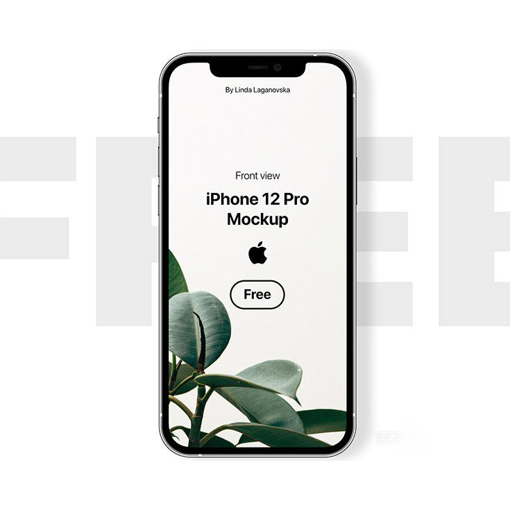 iPhone12Pro样机