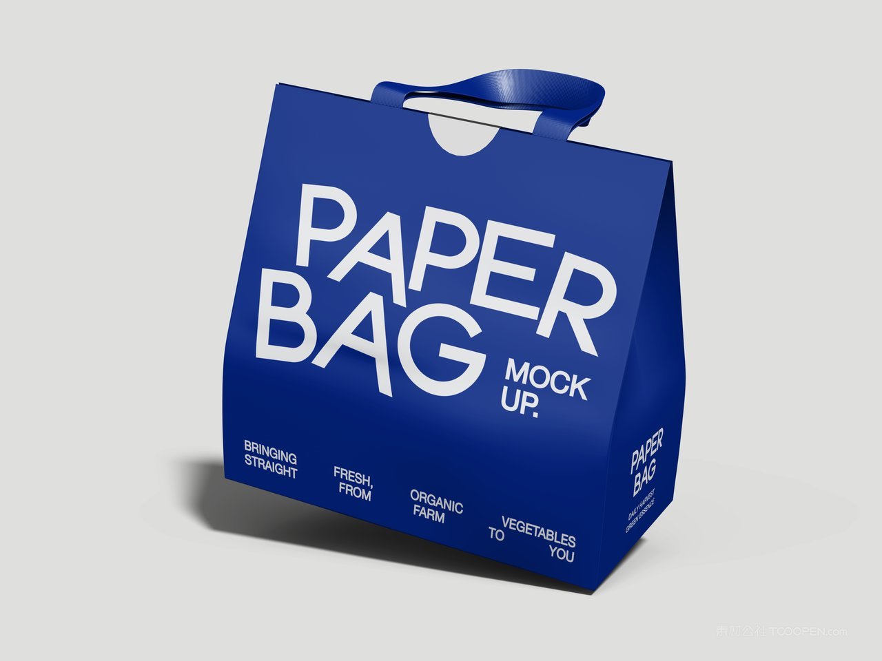 手提袋纸袋样机