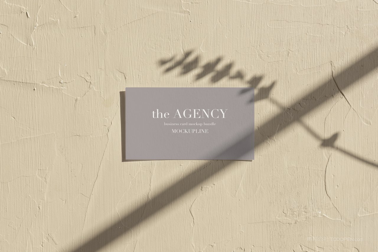 文艺白墙灰色名片场景样机