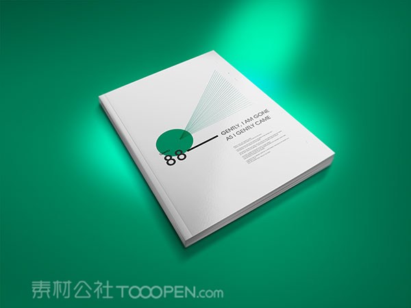 精美宣传画册样机