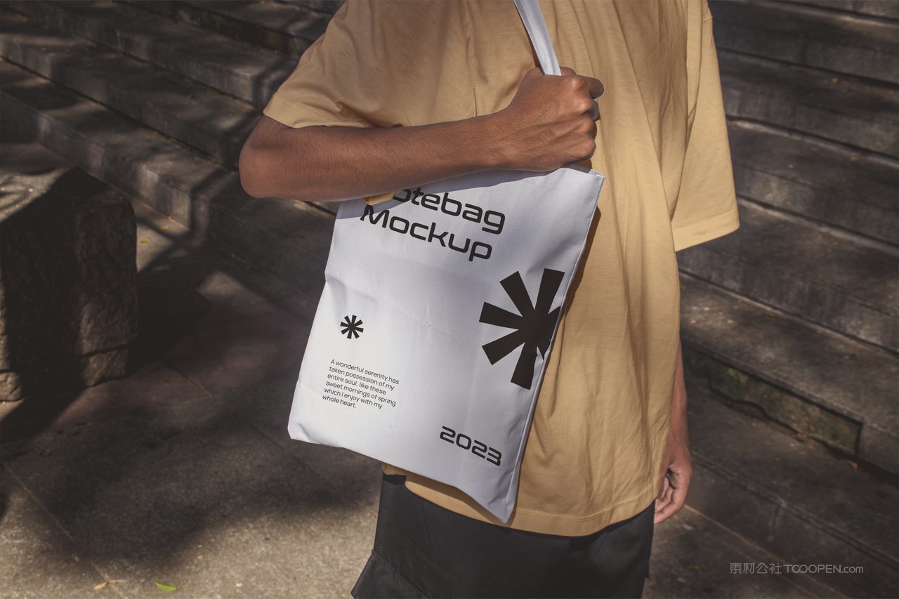 【2095期】小众vi品牌手提带样机 (5)