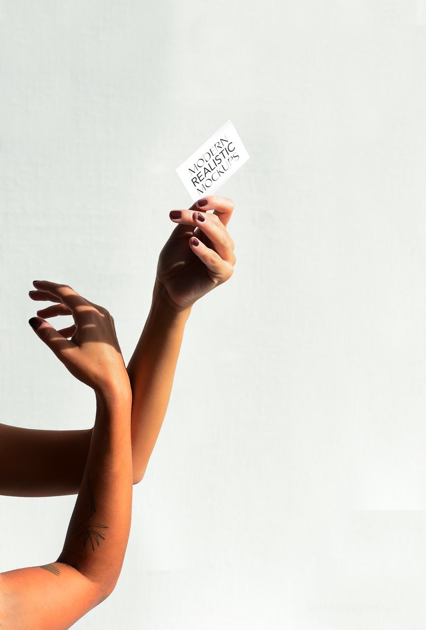 【2095期】小众vi品牌名片vip会员卡样机 (5)