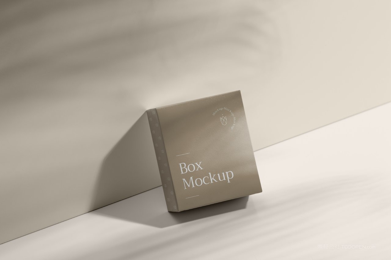 米色文艺光影精品纸盒纸箱样机 (5)