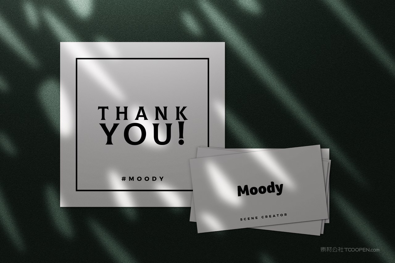 复古文艺光影海报样机 (22)