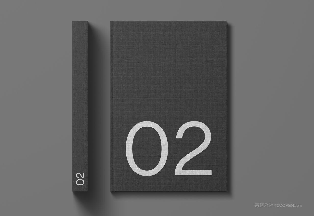 【2091期】商务黑冷淡风小众艺术样机 (6)