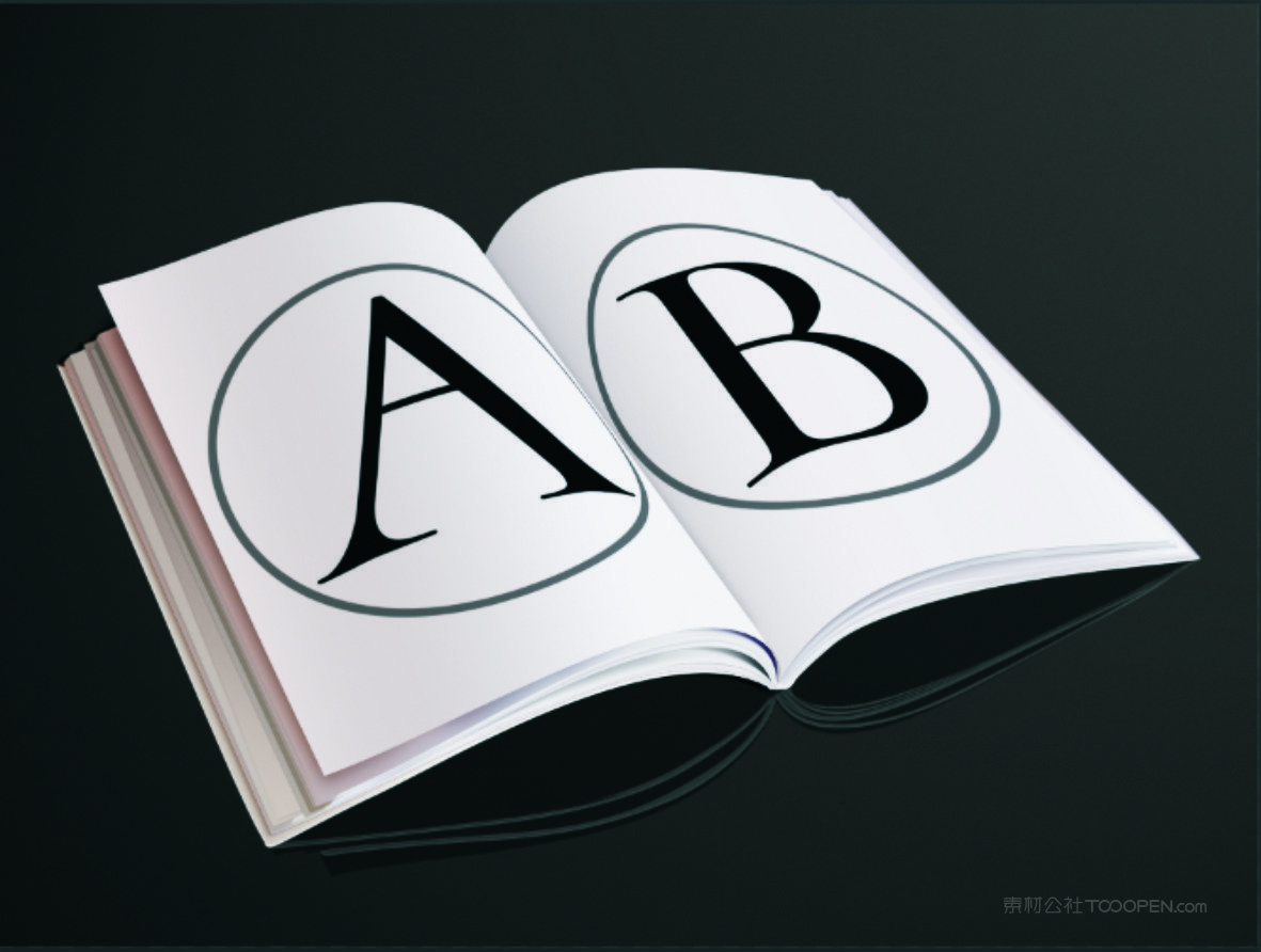 精美大气高端画册样机