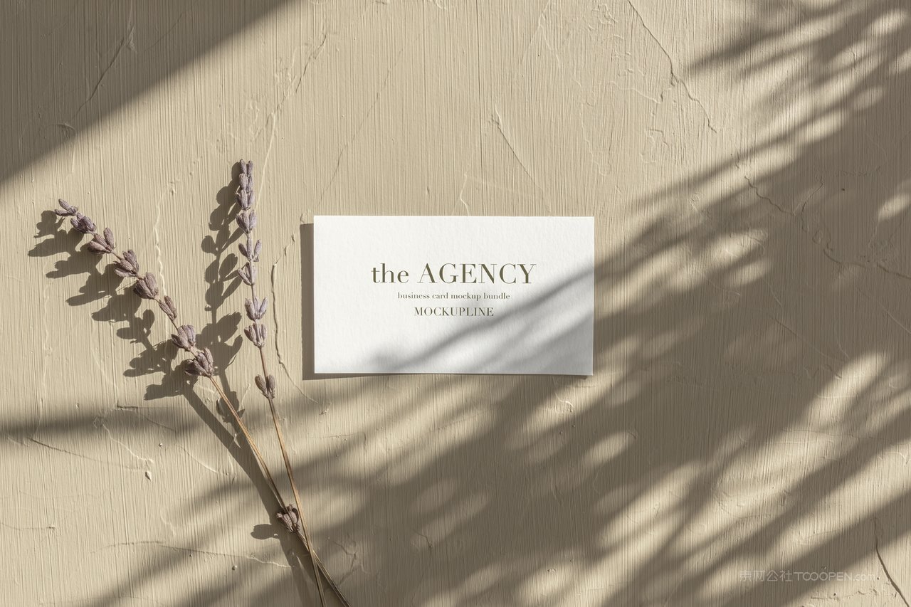 文艺白色名片光影场景样机