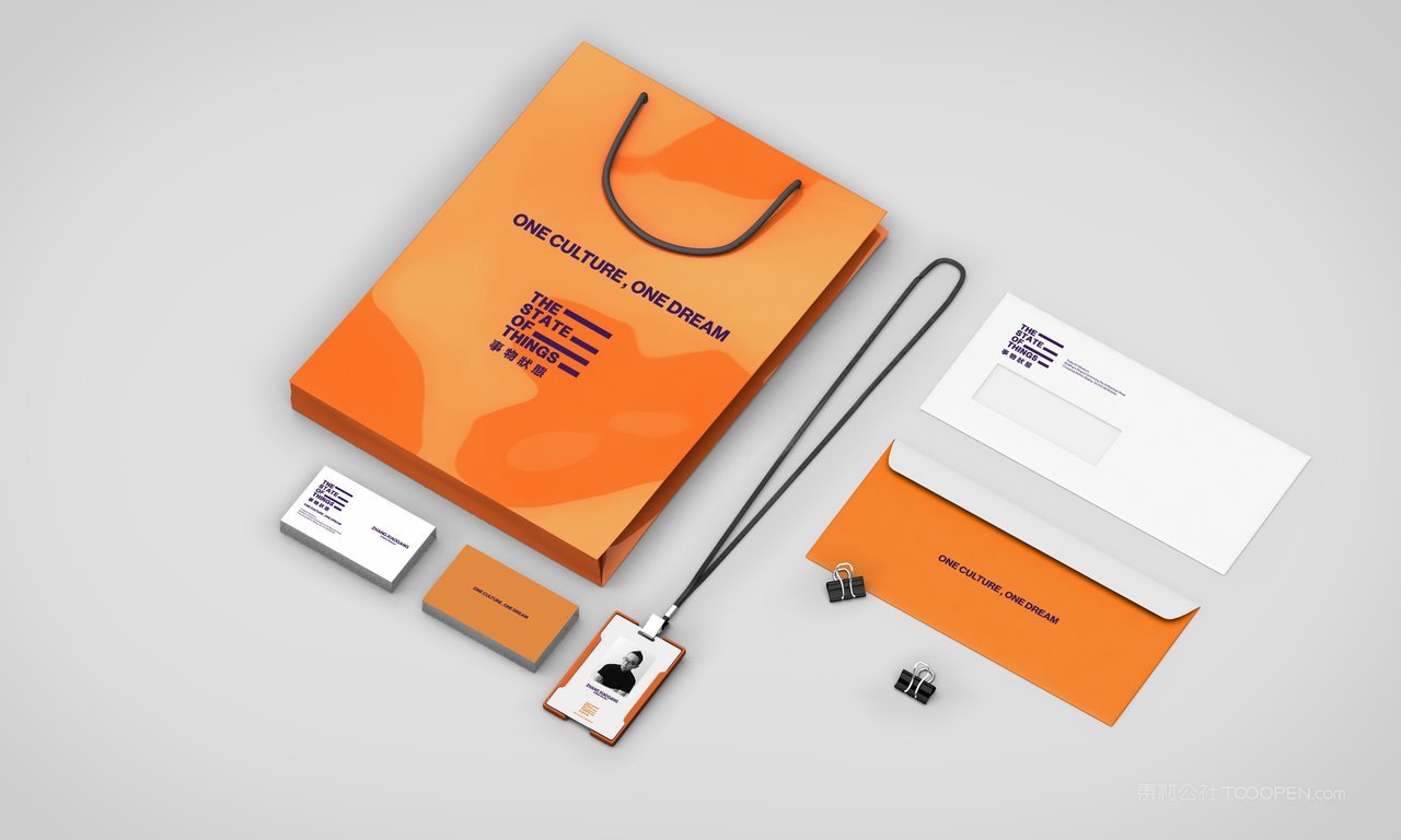 【1985期】企业办公vi样机 (5)