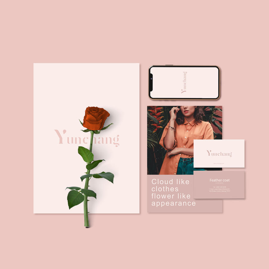 女性服装品牌VI名片手机宣传单贴图样机