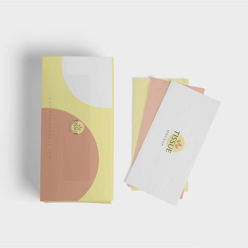 纸巾盒包装样机素材