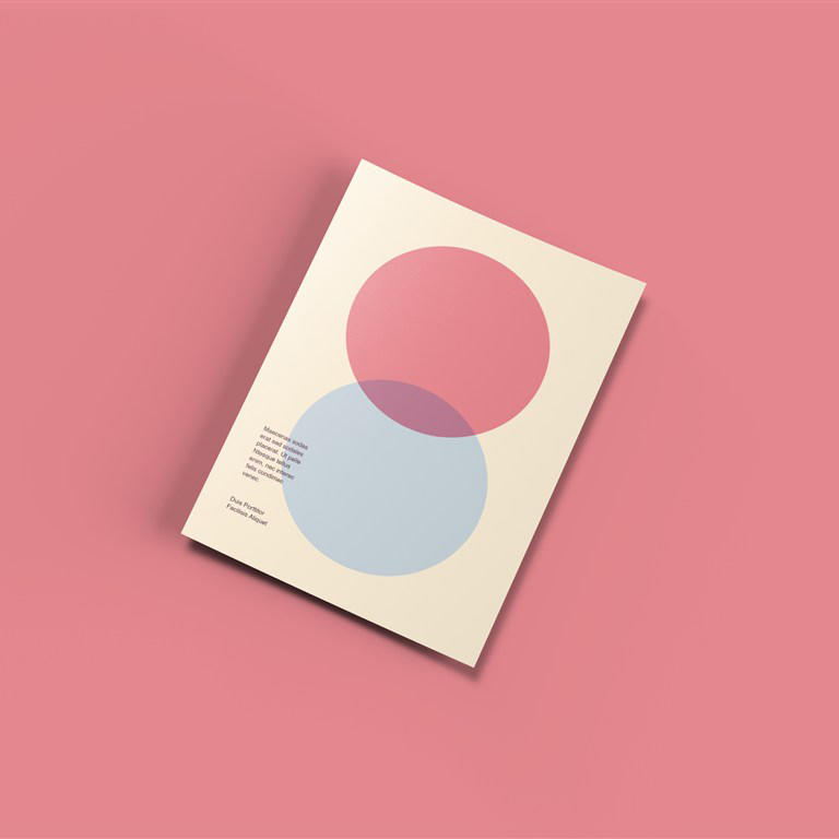 海报宣传单DM样机