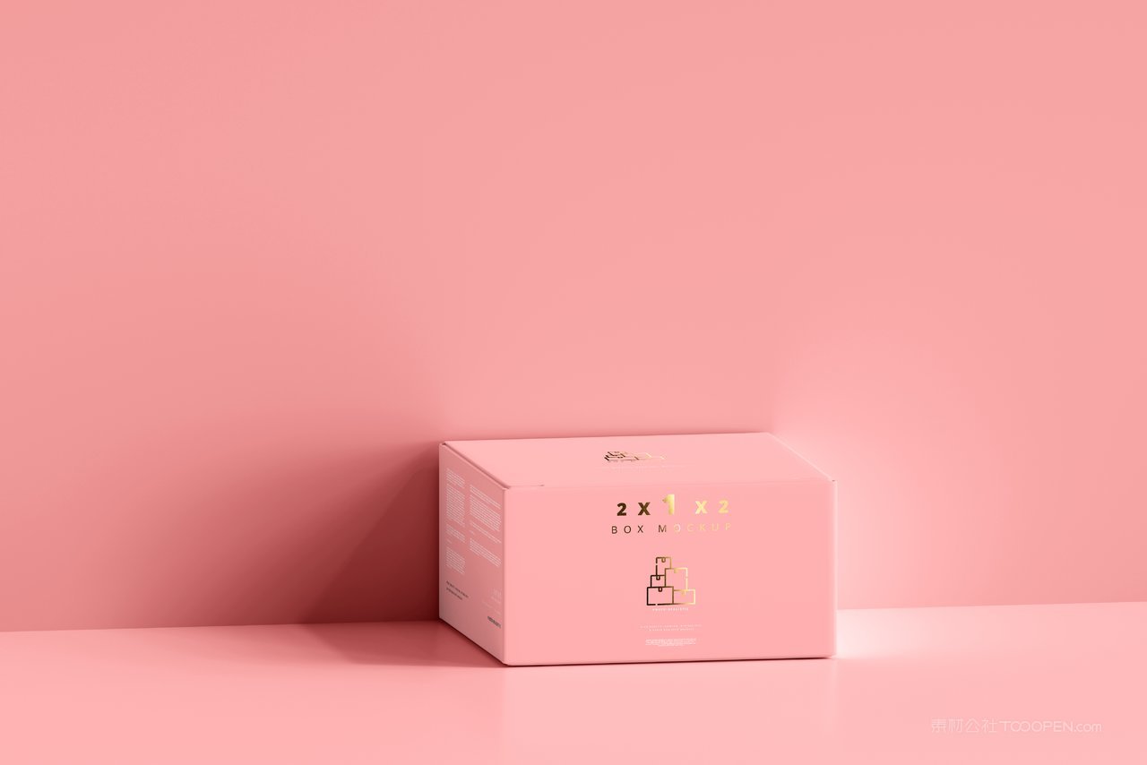 长方形产品包装纸盒样机 (8)