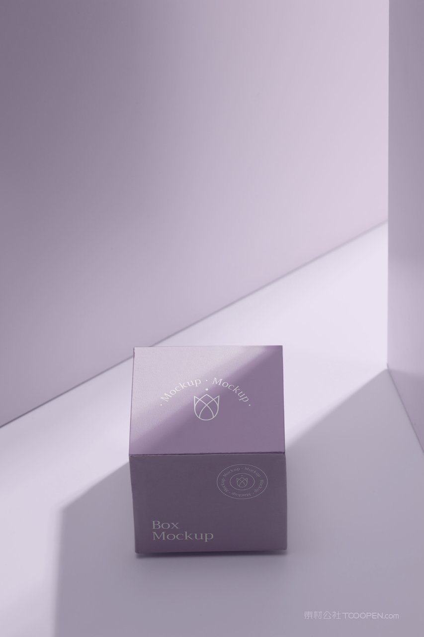 紫色光影精品纸盒纸箱样机 (2)
