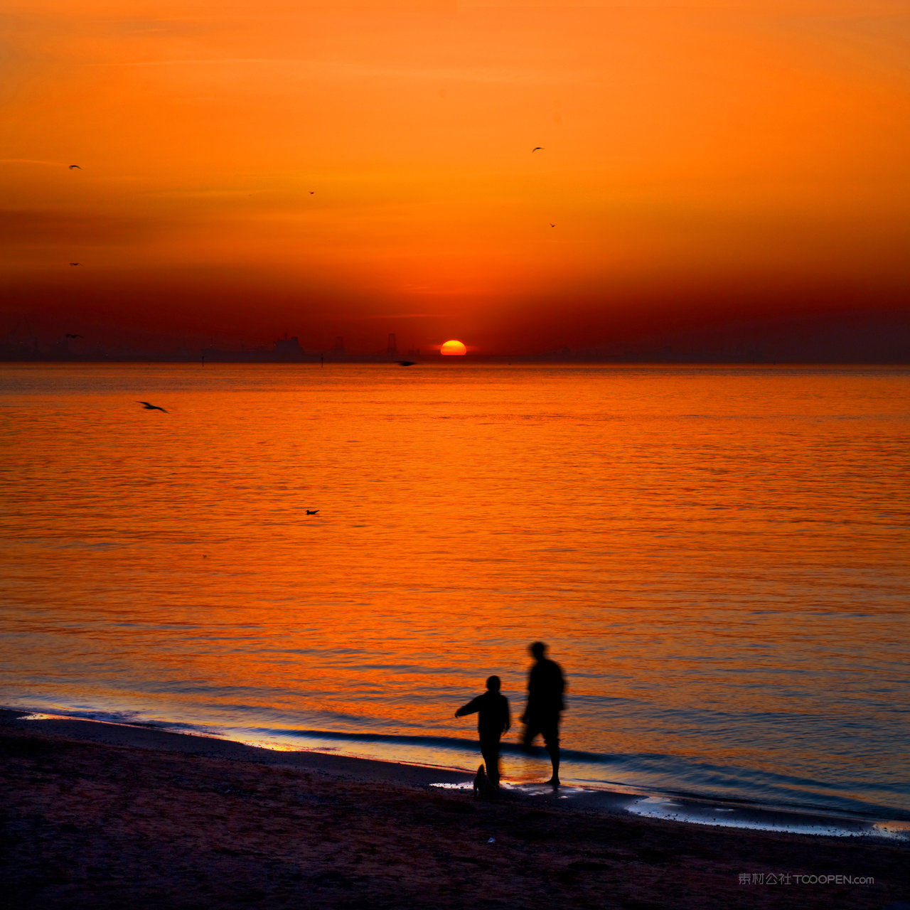河北北戴河风光 (10)