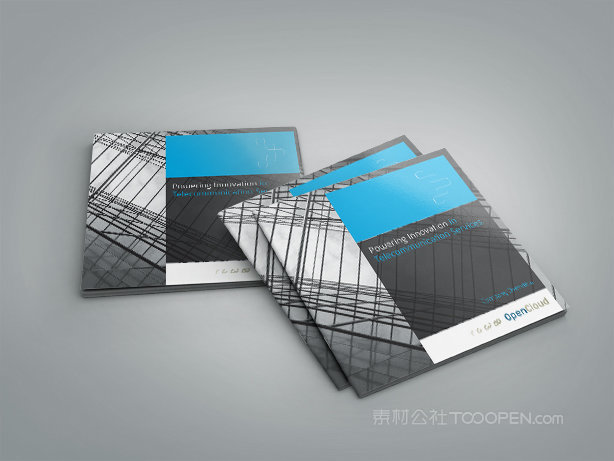 brochure杂志宣传册样机 (13)