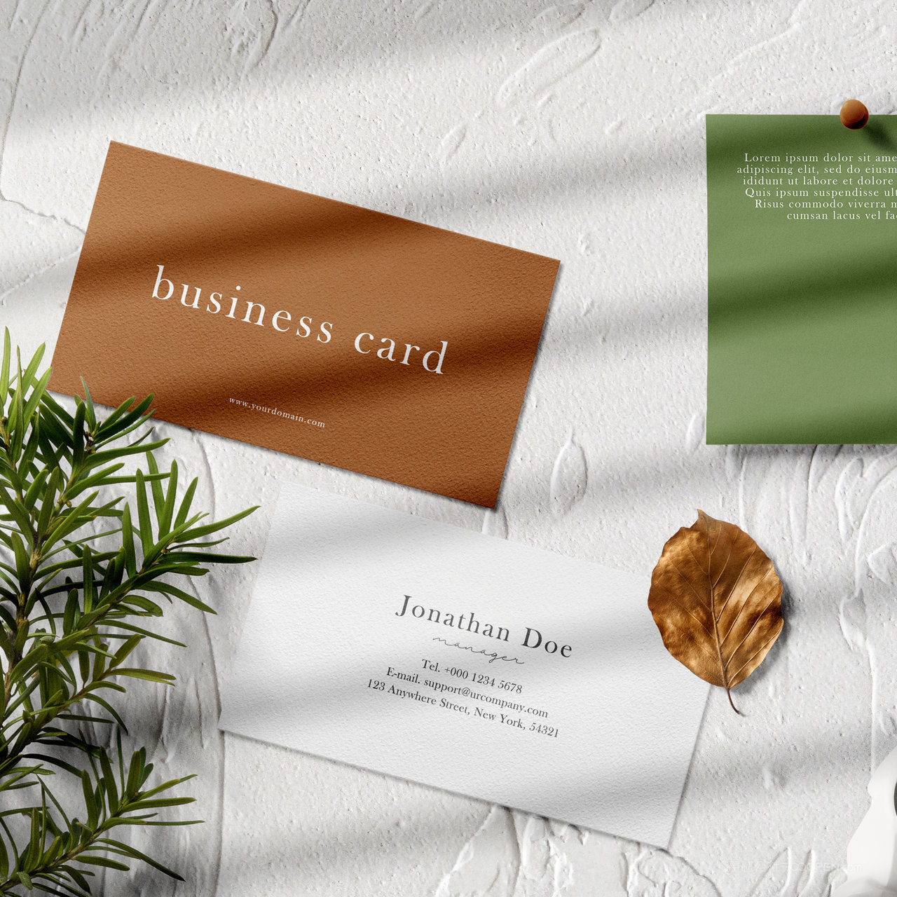 光影效果商务名片正反面贴图样机