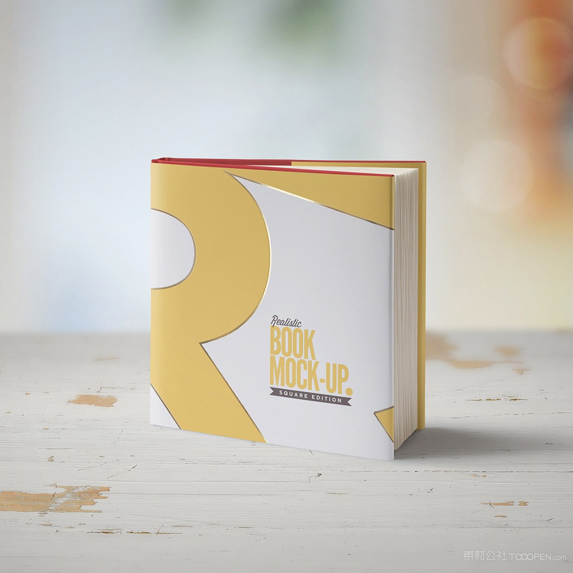 竖立在木板上的正方形书本画册贴图样机