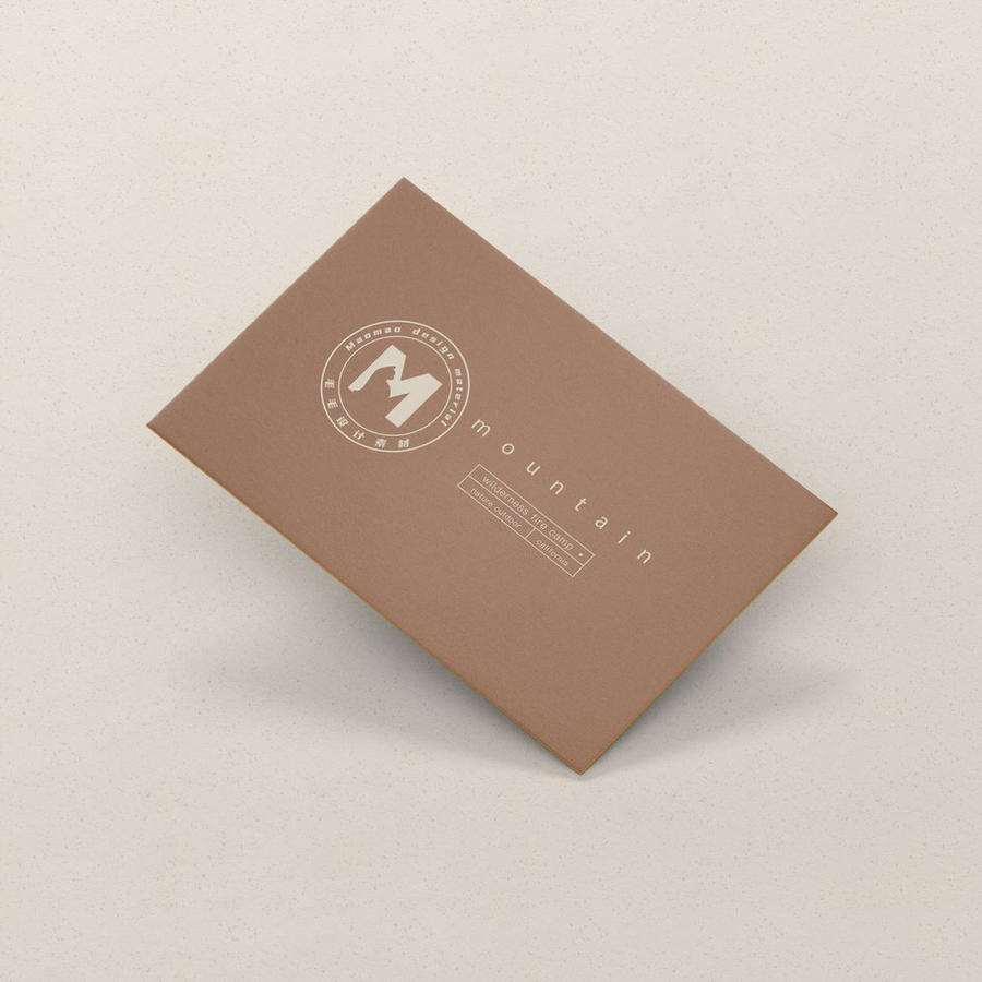 民宿酒店客栈名片效果展示vi提案样机