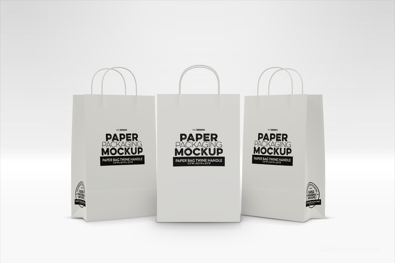 快餐汉堡品牌食品纸质手提袋包装样机 (9)