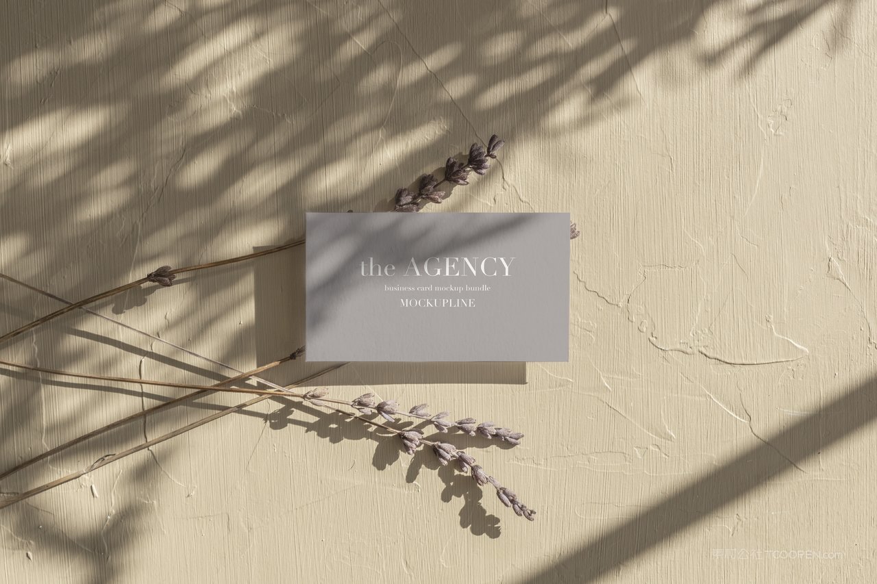 文艺灰色名片光影场景样机