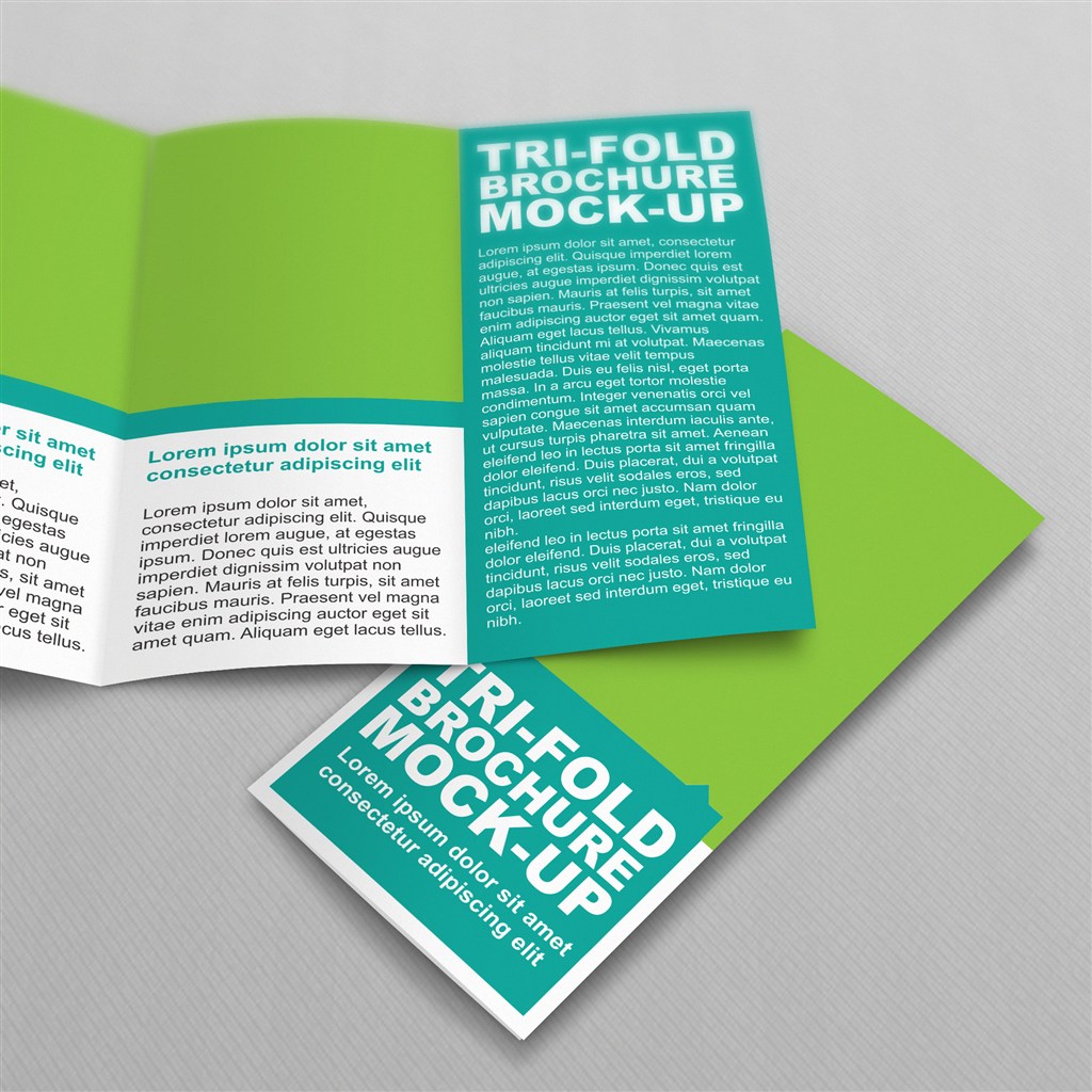 国外绿色三折页样机贴图