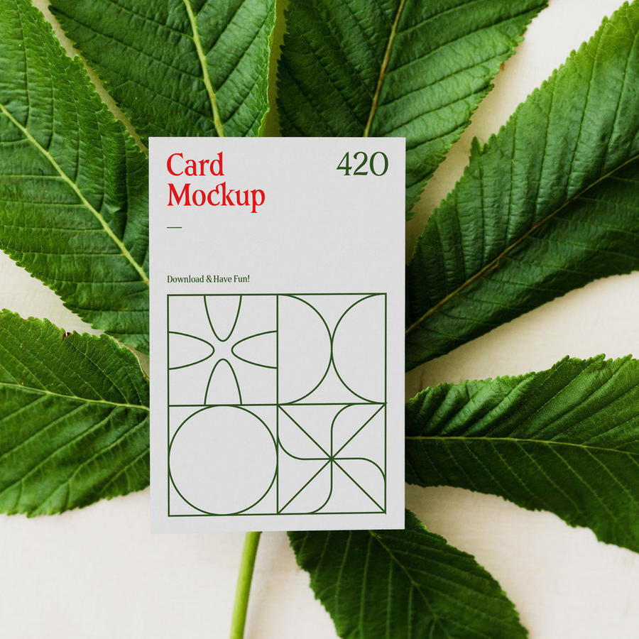 名片样机带有叶子模型的卡片样机