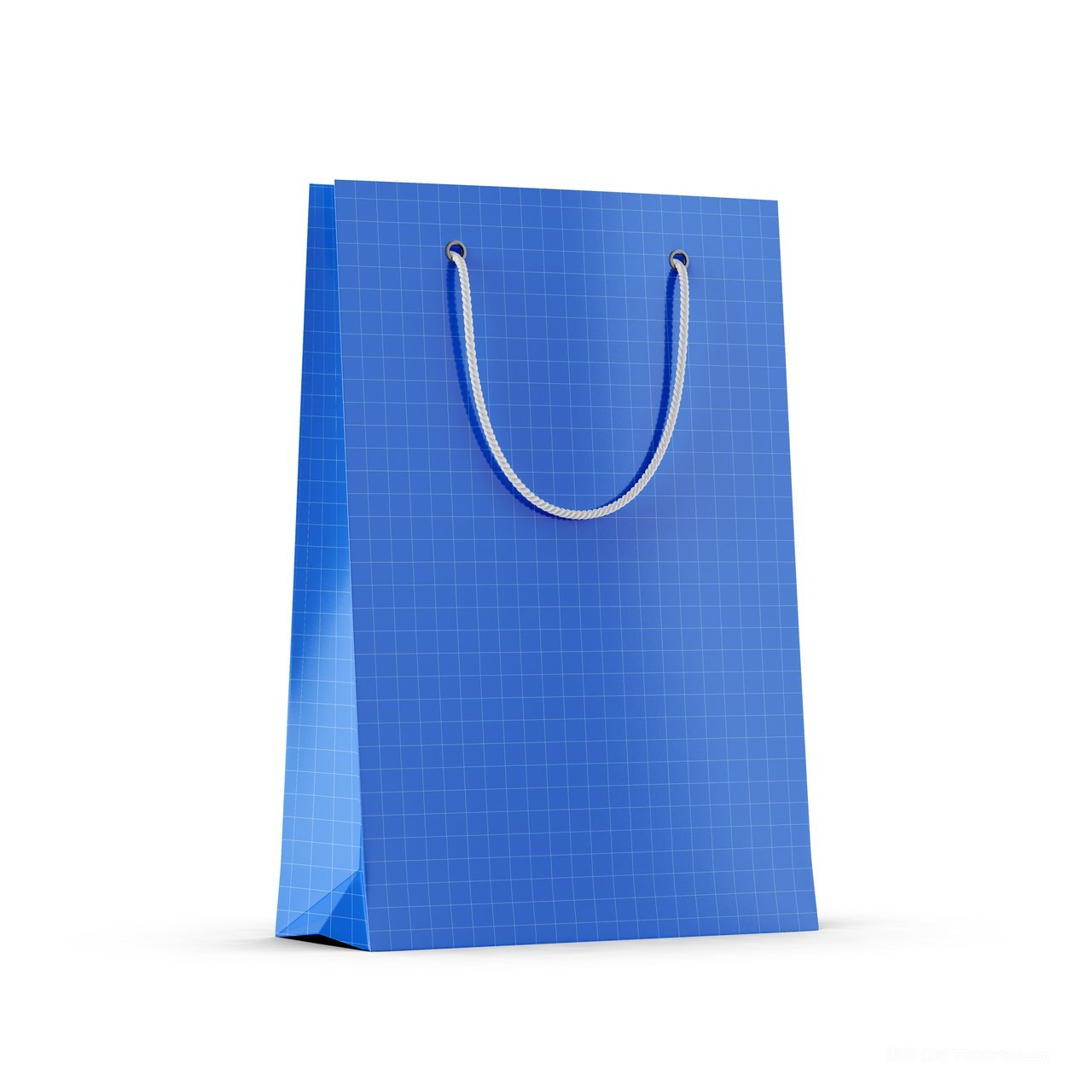 手提袋购物袋样机