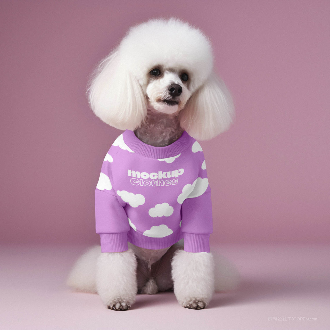 萌犬新装来袭宠物服饰贴图样机