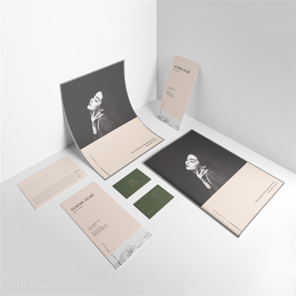 女性时尚品牌vi样机