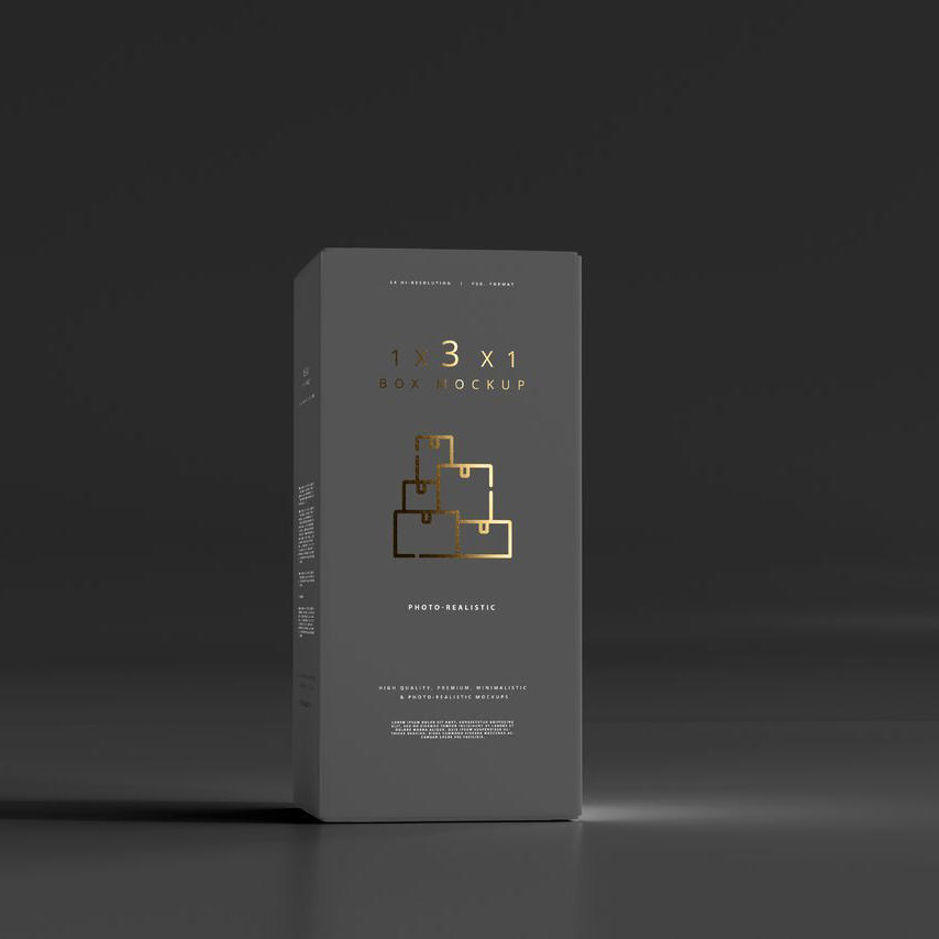 商务灰长方形产品包装纸盒样机 (3)
