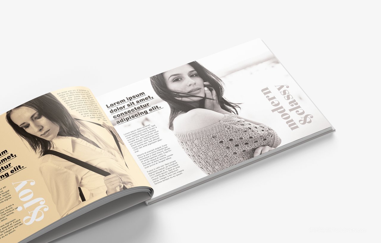 精装硬壳厚厚的书本书籍样机 (9)