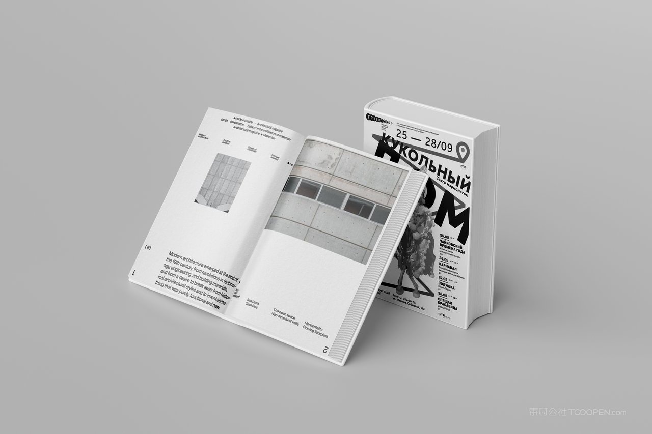 【2017期】 硬壳超厚书籍画册样机 (3)