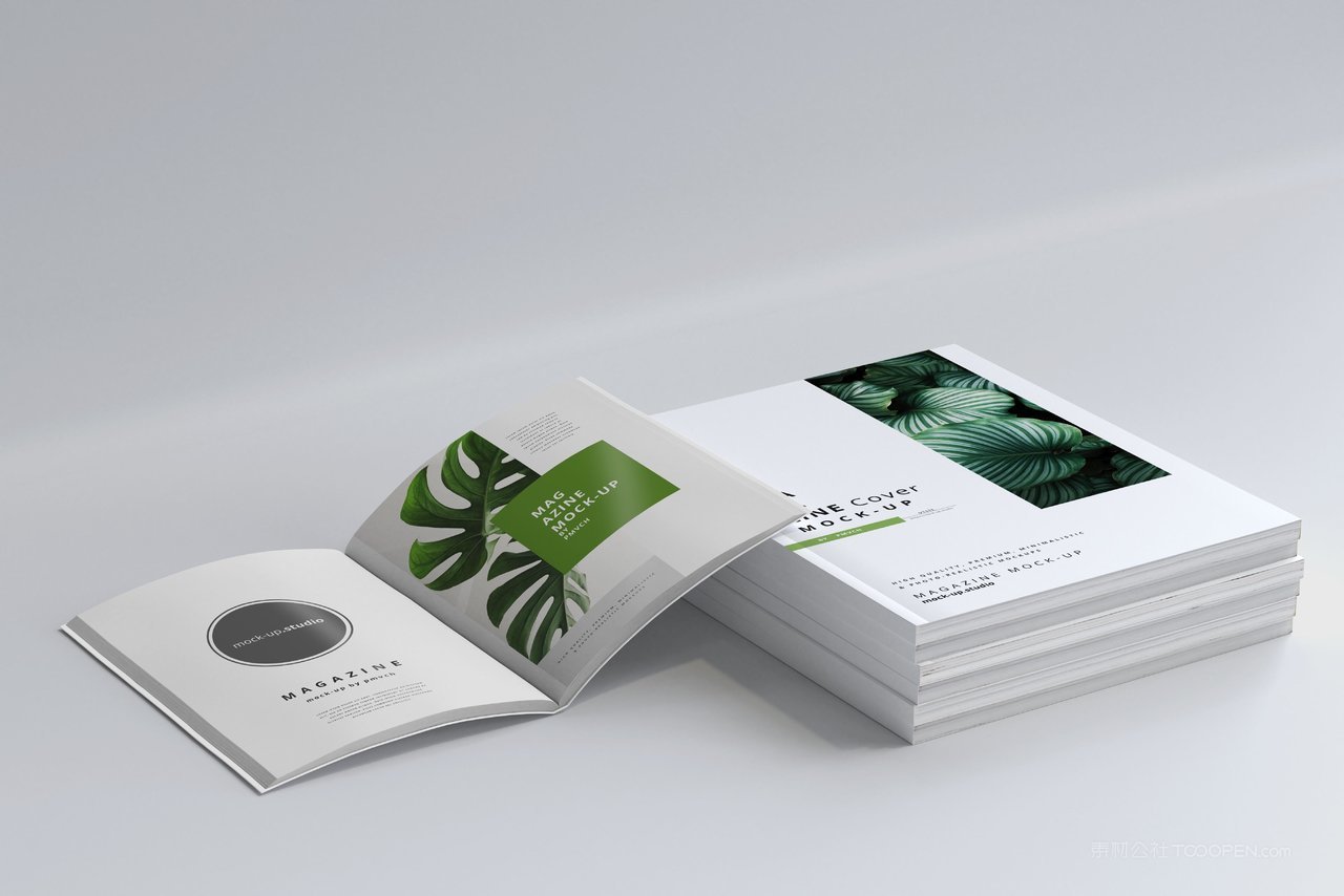 品牌画册产品目录场景样机