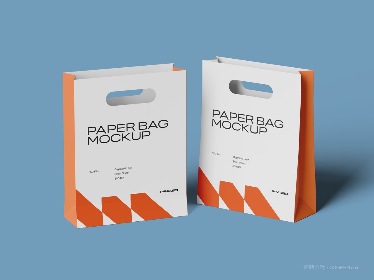 纸袋手提袋样机