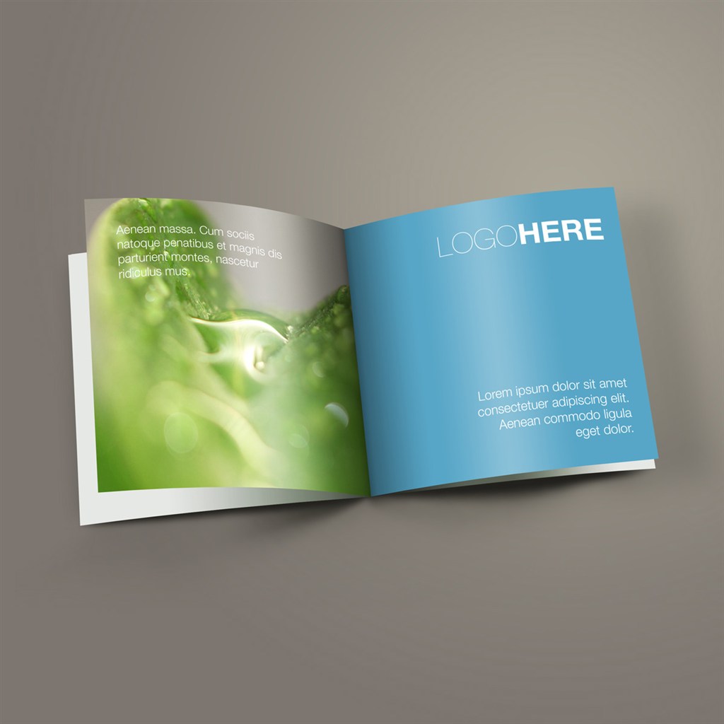 打开的画册型录样机