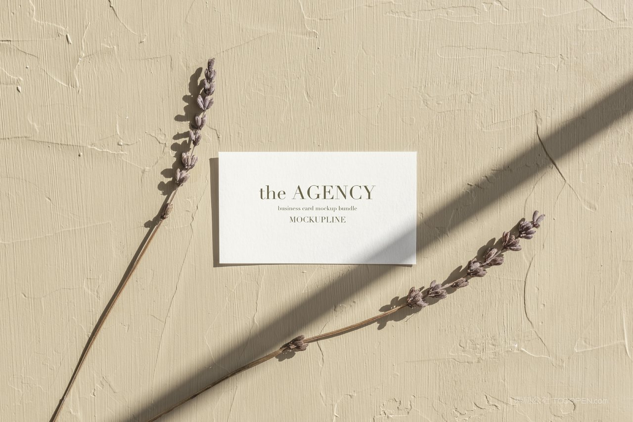 文艺白墙名片白色名片光影场景样机