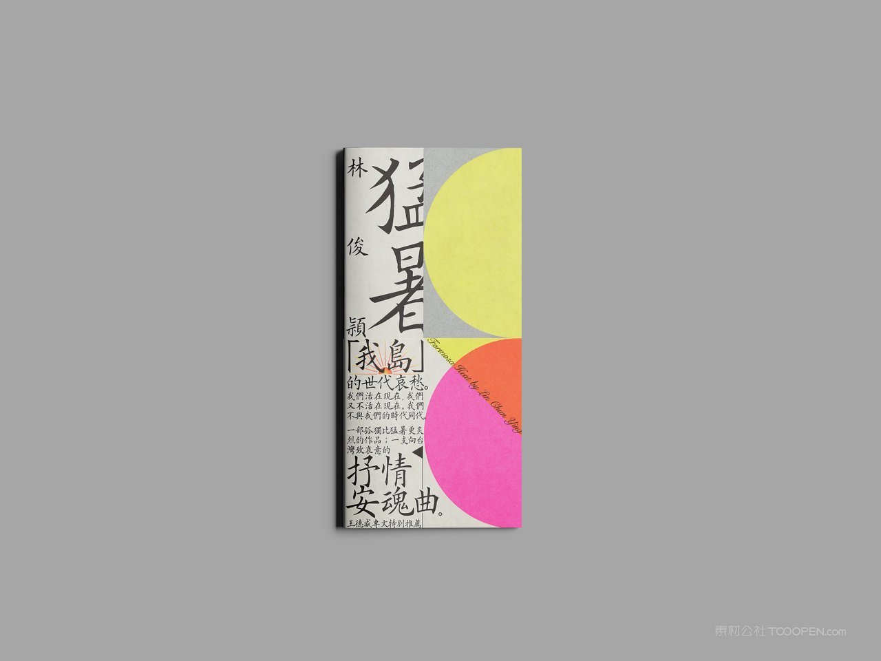 【1915期】折页宣传册册子样机 (3)