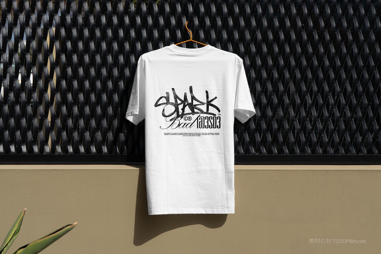 【2079期】街头服装品牌vi样机 (2)